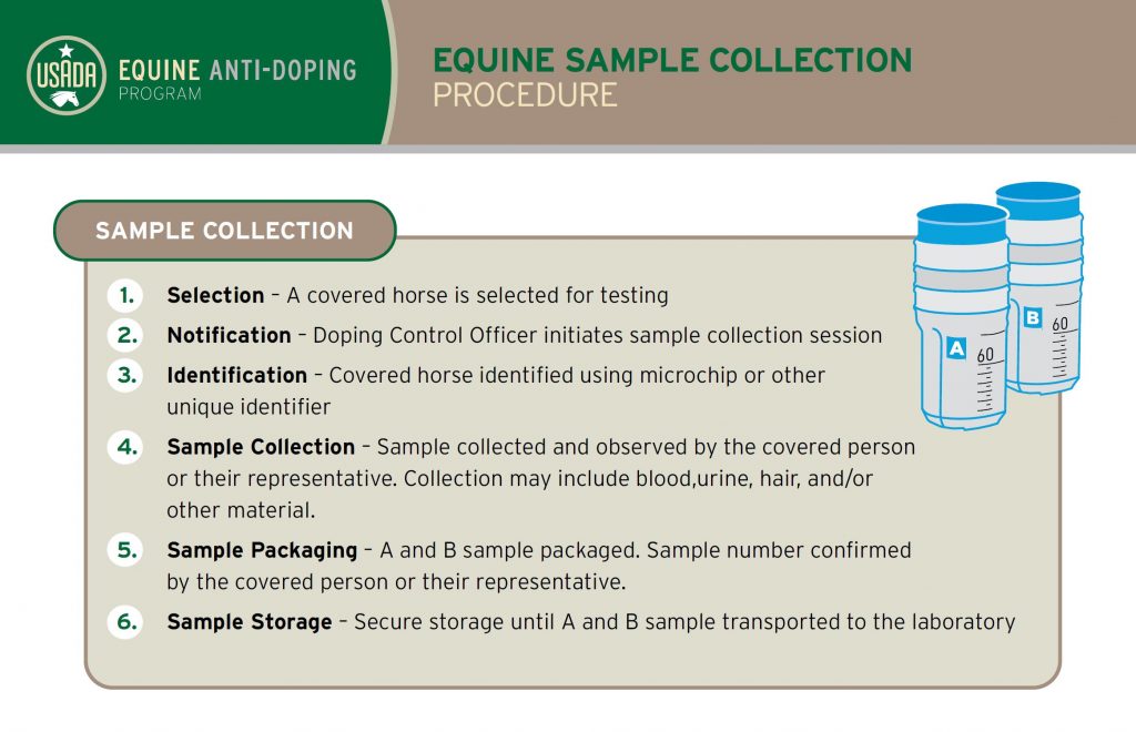 Thumbnail image of the Equine Sample Collection simple infographic.