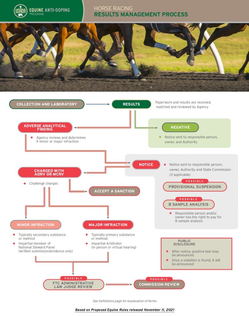 Thumbnail image of the Equine Results Management Process infographic.