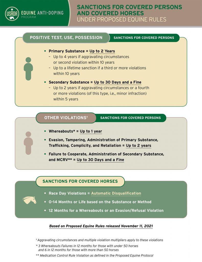 Thumbnail image of the Equine Sanctions infographic.