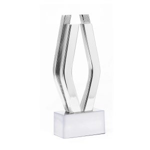 Platinum Viddy Award.