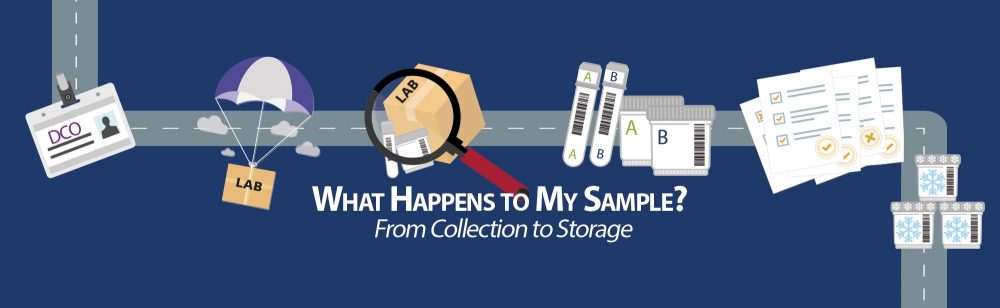 What Happens to My Sample: From Collection to Storage