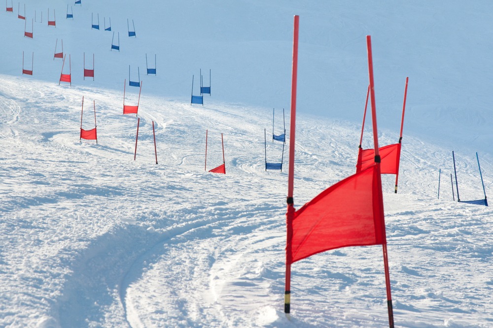 Downhill skiing gates.