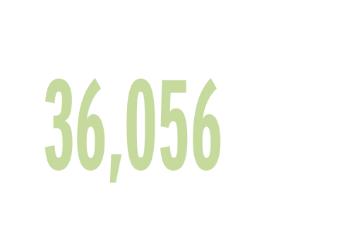36,056