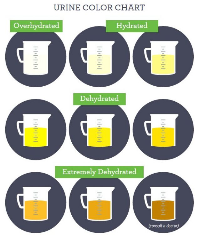 Color Of Urine When Dehydration Chart