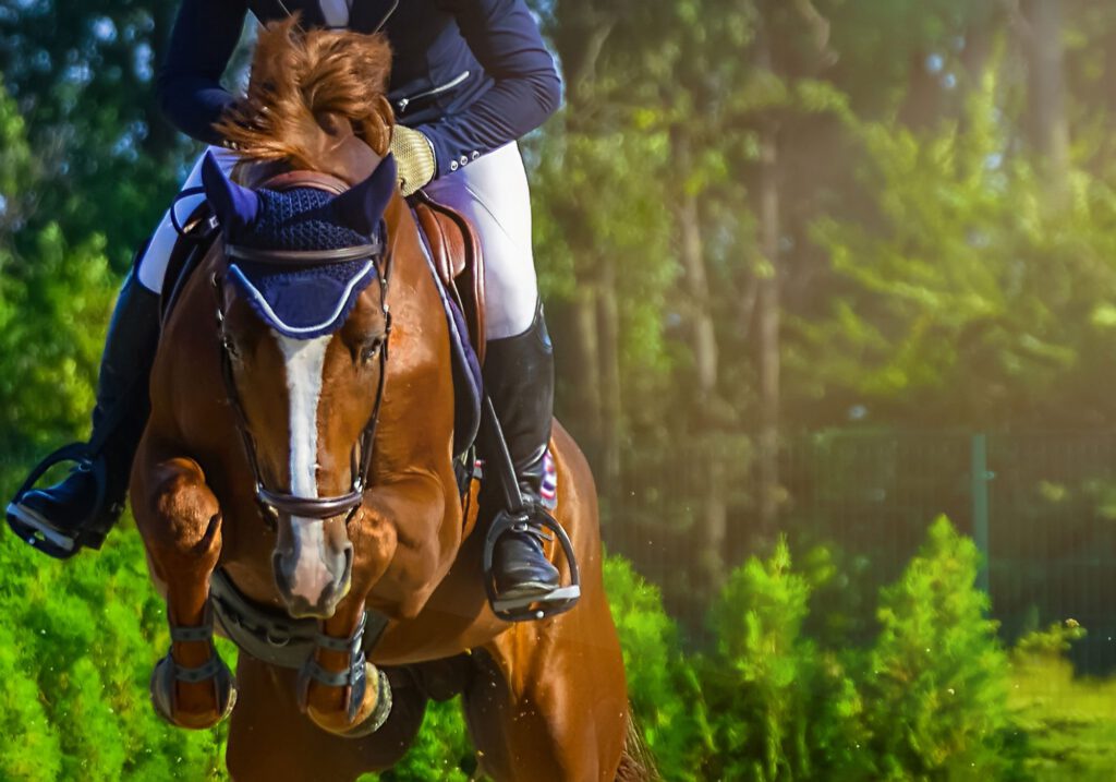 equestrian rider on horse e1559062095605