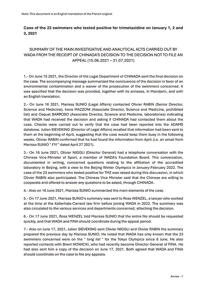 Cover image of the interim Cottier report annex.