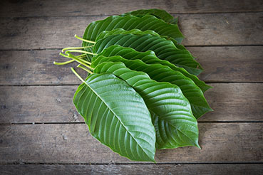 kratom leaves on table