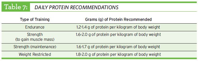 daily protein recommendations