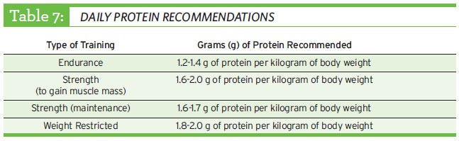 daily protein recommendations