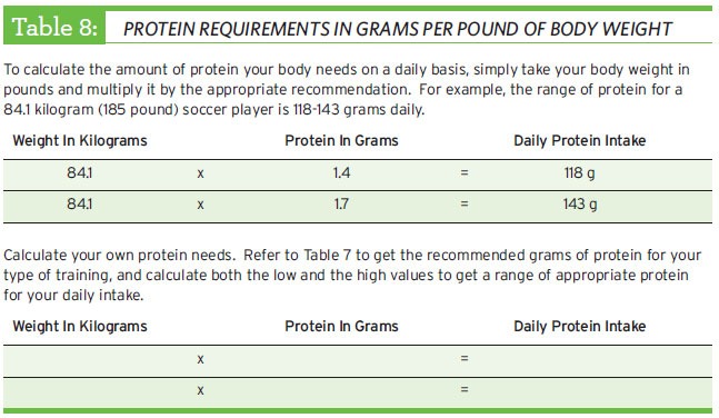 protein requirements in grams per pound of body weight