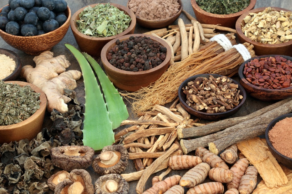 A variety of dried plants and herbs commonly used in supplements.