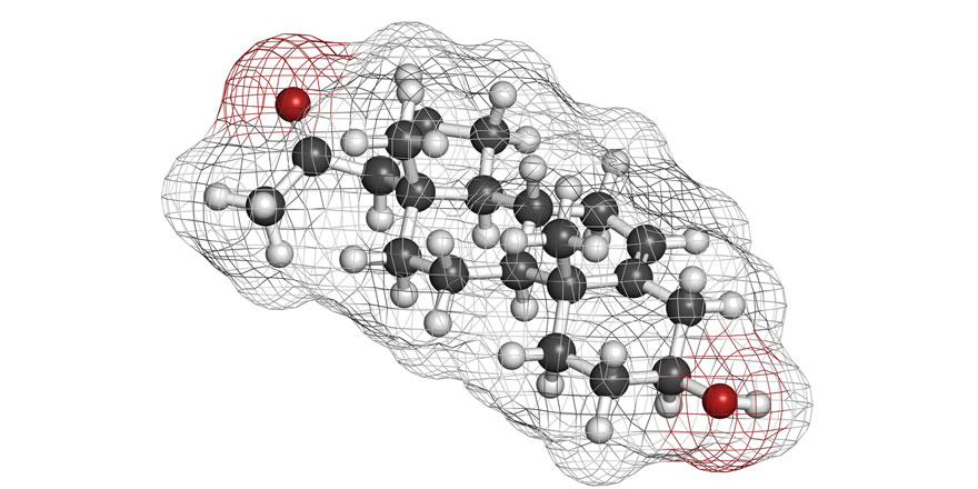 pregnenelone