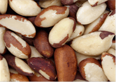 selenium_supplement_toxicity_supplement411
