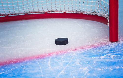 hockey puck in an empty net