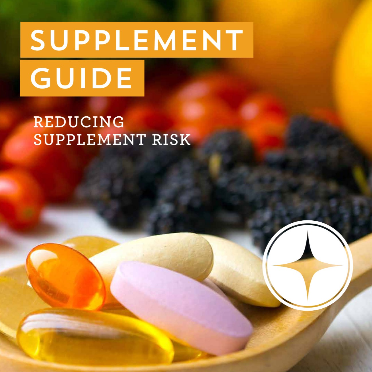 Supplement Guide