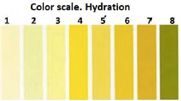 Eight point urine color chart for hydration.